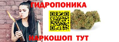 крисы Кунгур